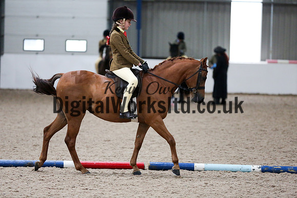 NECWPCA-SUMMER-WELSH-SILVER-MEDAL-SHOW (87 of 419)