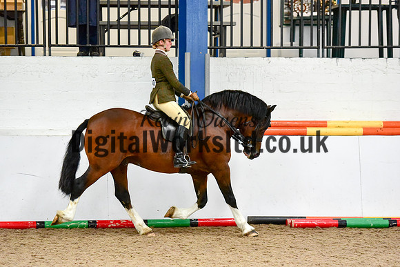 NECWPCA-SUMMER-WELSH-SILVER-MEDAL-SHOW (213 of 325)