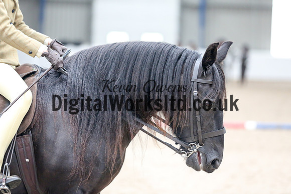 NECWPCA-SUMMER-WELSH-SILVER-MEDAL-SHOW (5 of 120)