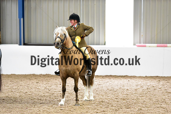 NECWPCA-SUMMER-WELSH-SILVER-MEDAL-SHOW (161 of 325)