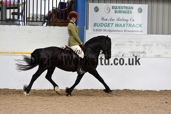 NECWPCA-SUMMER-WELSH-SILVER-MEDAL-SHOW (31 of 92)