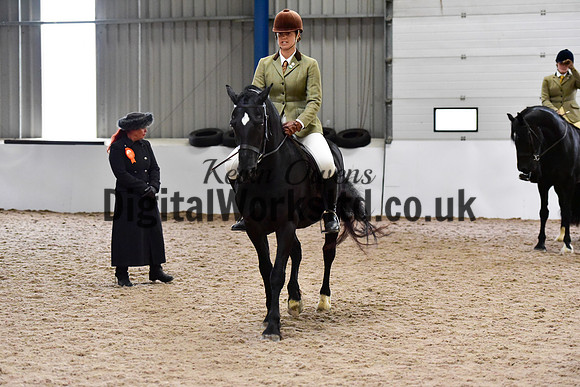 NECWPCA-SUMMER-WELSH-SILVER-MEDAL-SHOW (73 of 315)