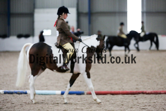 NECWPCA-SUMMER-WELSH-SILVER-MEDAL-SHOW (75 of 315)
