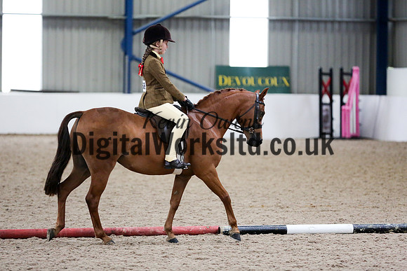 NECWPCA-SUMMER-WELSH-SILVER-MEDAL-SHOW (89 of 419)