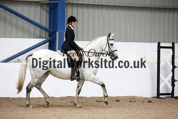 NECWPCA-SUMMER-WELSH-SILVER-MEDAL-SHOW (119 of 315)