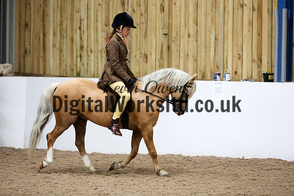 NECWPCA-SUMMER-WELSH-SILVER-MEDAL-SHOW (34 of 325)