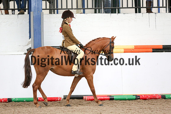 NECWPCA-SUMMER-WELSH-SILVER-MEDAL-SHOW (11 of 334)