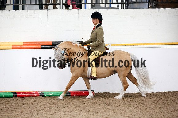 NECWPCA-SUMMER-WELSH-SILVER-MEDAL-SHOW (201 of 315)