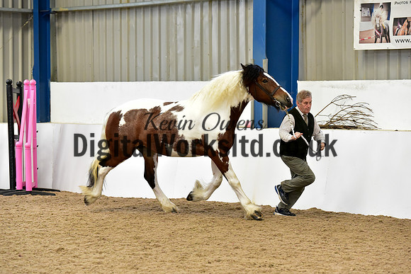 NECWPCA-SUMMER-WELSH-SILVER-MEDAL-SHOW (6 of 91)