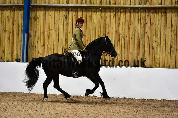NECWPCA-SUMMER-WELSH-SILVER-MEDAL-SHOW (219 of 325)