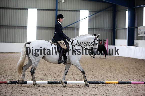 NECWPCA-SUMMER-WELSH-SILVER-MEDAL-SHOW (93 of 315)