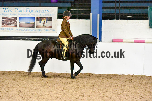 NECWPCA-SUMMER-WELSH-SILVER-MEDAL-SHOW (280 of 315)