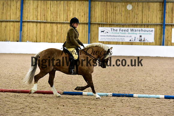 NECWPCA-SUMMER-WELSH-SILVER-MEDAL-SHOW (137 of 325)