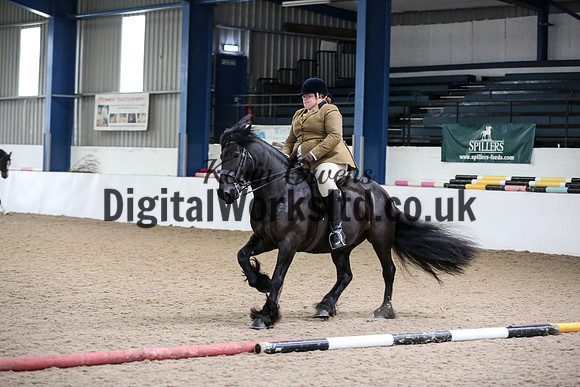 NECWPCA-SUMMER-WELSH-SILVER-MEDAL-SHOW (130 of 325)
