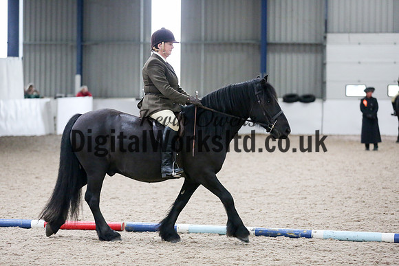 NECWPCA-SUMMER-WELSH-SILVER-MEDAL-SHOW (83 of 315)