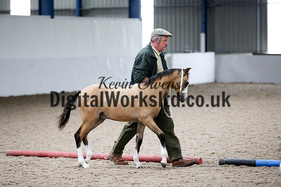 NECWPCA-SUMMER-WELSH-SILVER-MEDAL-SHOW (22 of 427)