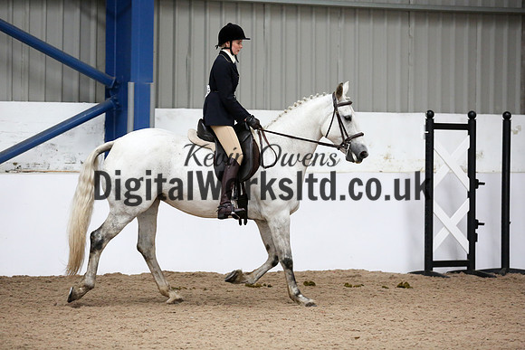 NECWPCA-SUMMER-WELSH-SILVER-MEDAL-SHOW (120 of 315)