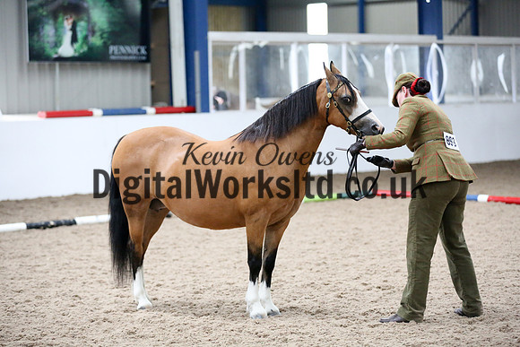 NECWPCA-SUMMER-WELSH-SILVER-MEDAL-SHOW (43 of 427)