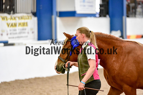 NECWPCA-SUMMER-WELSH-SILVER-MEDAL-SHOW (4 of 46)