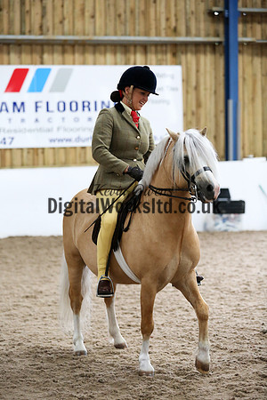 NECWPCA-SUMMER-WELSH-SILVER-MEDAL-SHOW (202 of 315)