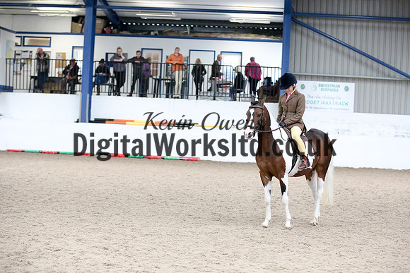 NECWPCA-SUMMER-WELSH-SILVER-MEDAL-SHOW (119 of 120)