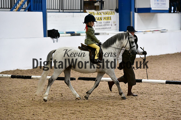NECWPCA-SUMMER-WELSH-SILVER-MEDAL-SHOW (3 of 120)