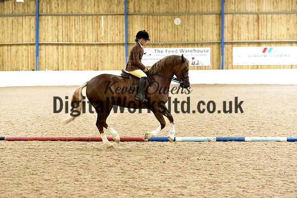 NECWPCA-SUMMER-WELSH-SILVER-MEDAL-SHOW (170 of 315)