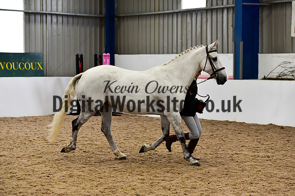 NECWPCA-SUMMER-WELSH-SILVER-MEDAL-SHOW (56 of 61)
