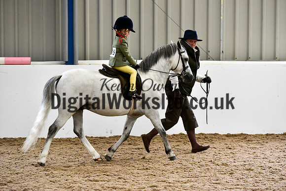 NECWPCA-SUMMER-WELSH-SILVER-MEDAL-SHOW (5 of 135)