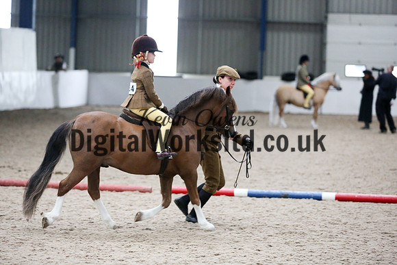 NECWPCA-SUMMER-WELSH-SILVER-MEDAL-SHOW (94 of 325)