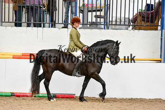 NECWPCA-SUMMER-WELSH-SILVER-MEDAL-SHOW (29 of 92)