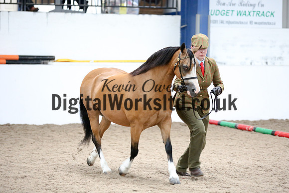 NECWPCA-SUMMER-WELSH-SILVER-MEDAL-SHOW (61 of 427)