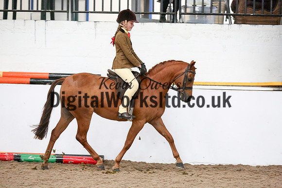 NECWPCA-SUMMER-WELSH-SILVER-MEDAL-SHOW (52 of 325)