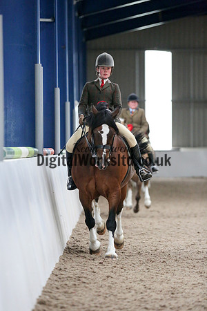 NECWPCA-SUMMER-WELSH-SILVER-MEDAL-SHOW (185 of 325)